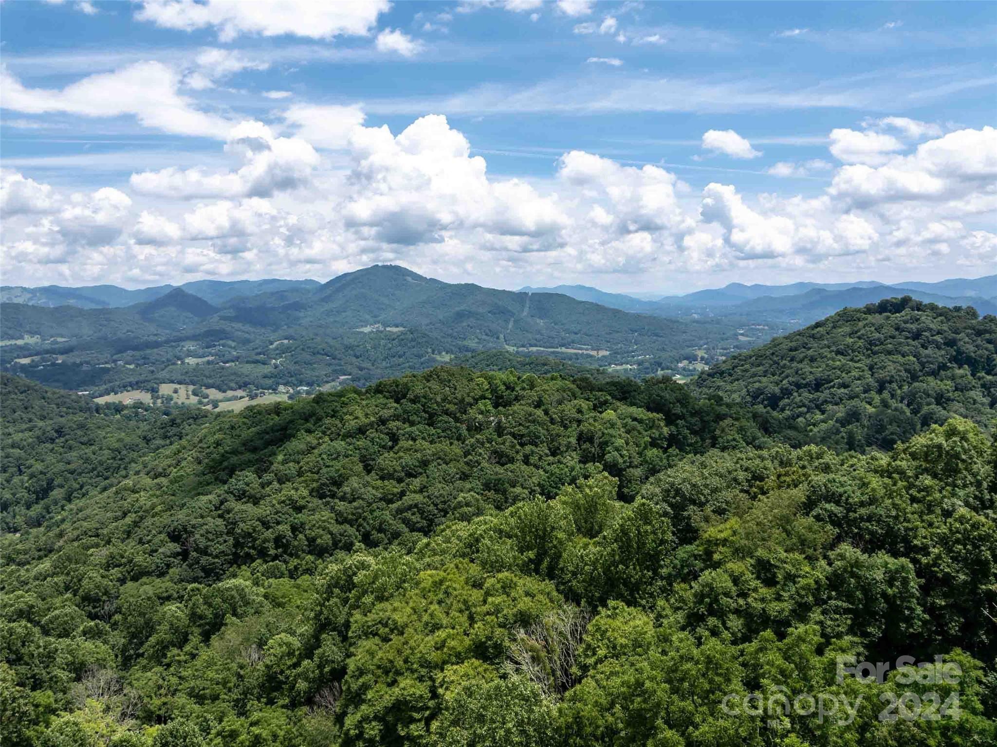 00 Hardy Branch Trail Waynesville NC 28785