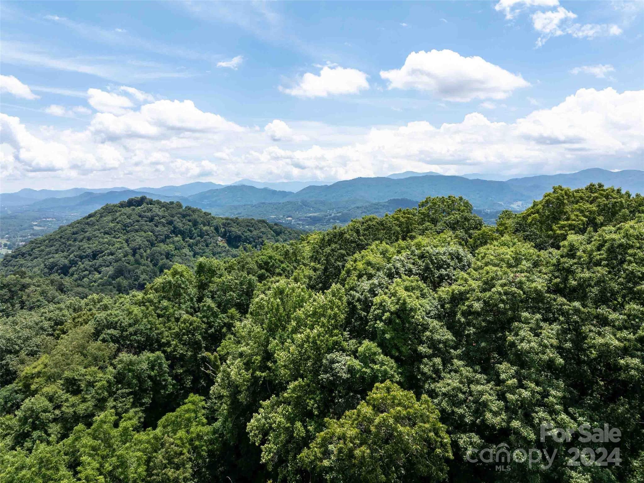 00 Hardy Branch Trail Waynesville NC 28785