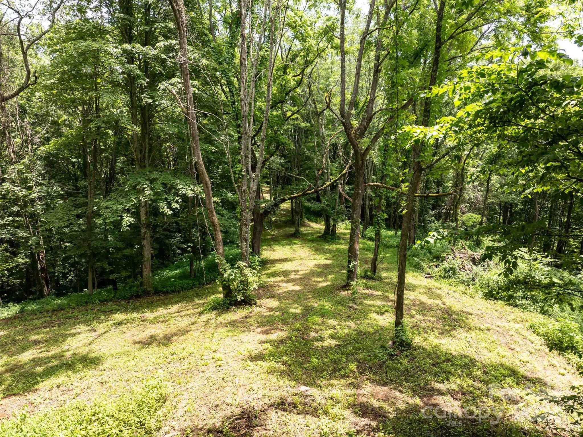 00 Hardy Branch Trail Waynesville NC 28785
