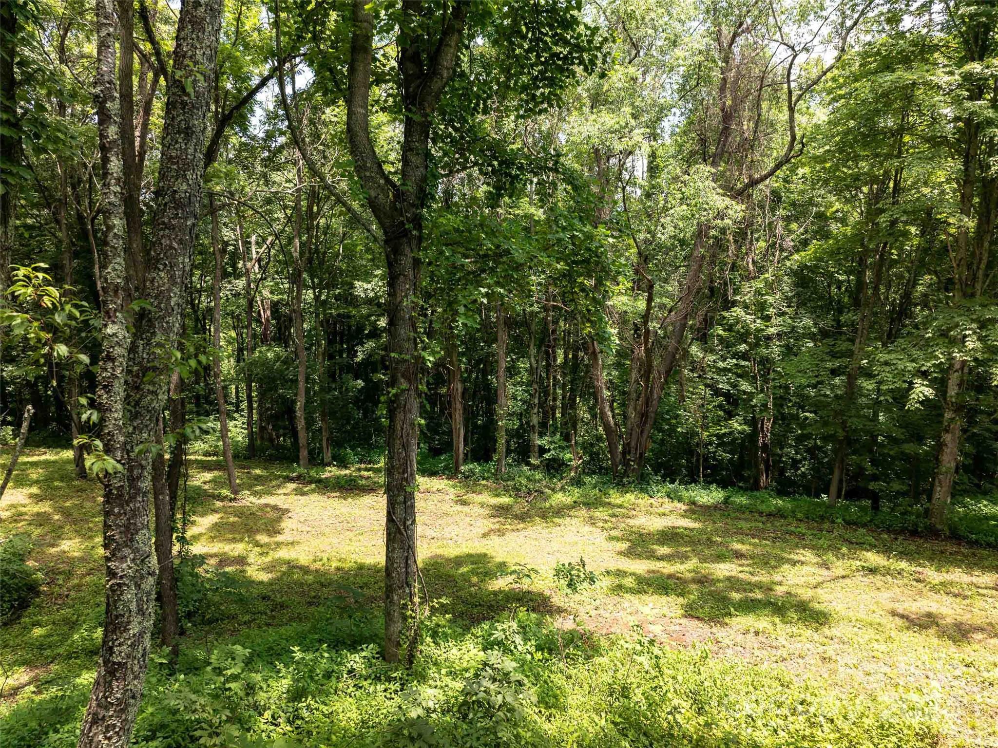 00 Hardy Branch Trail Waynesville NC 28785