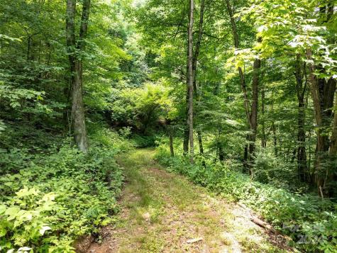 00 Hardy Branch Trail Waynesville NC 28785