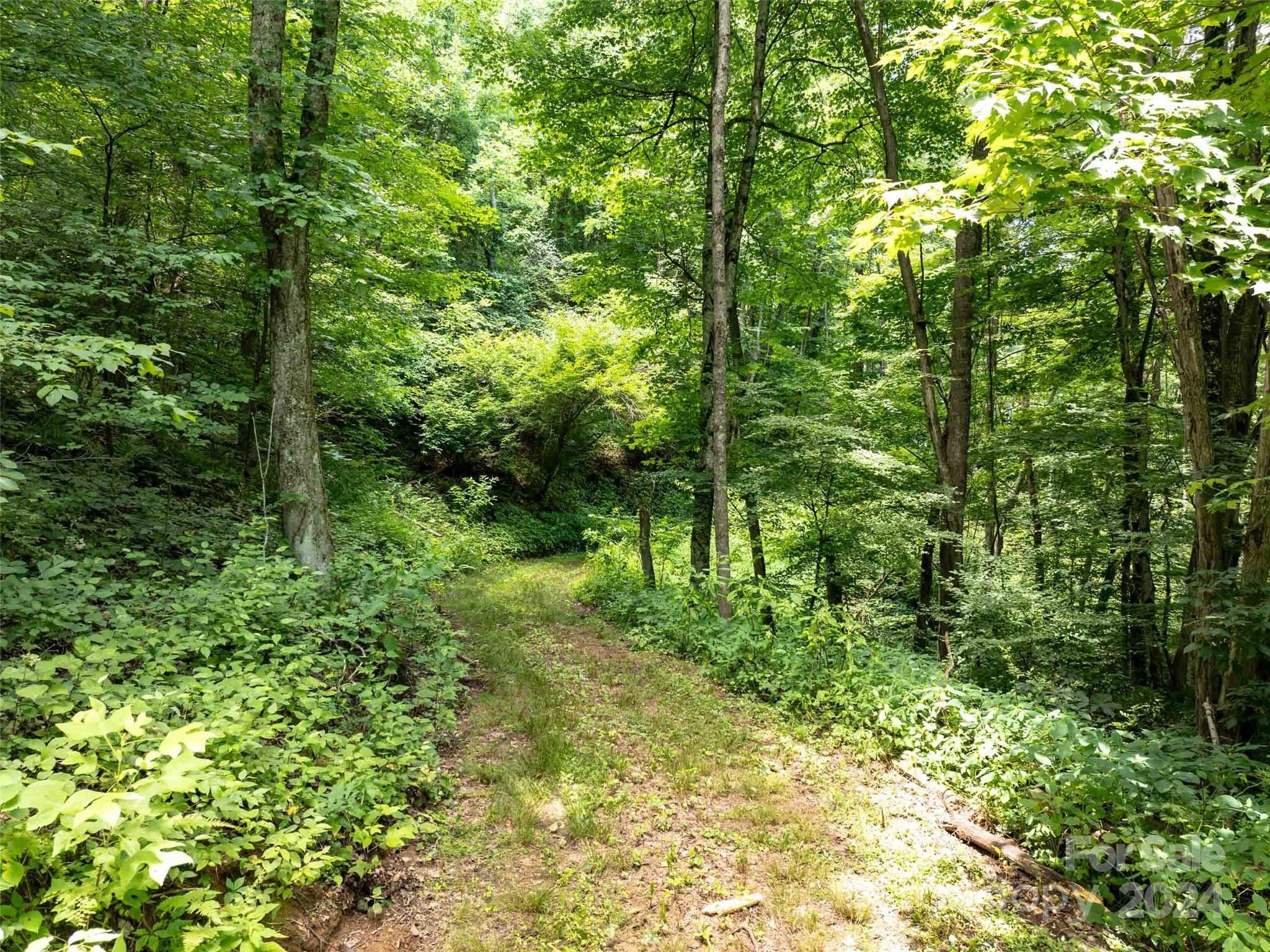 00 Hardy Branch Trail Waynesville NC 28785