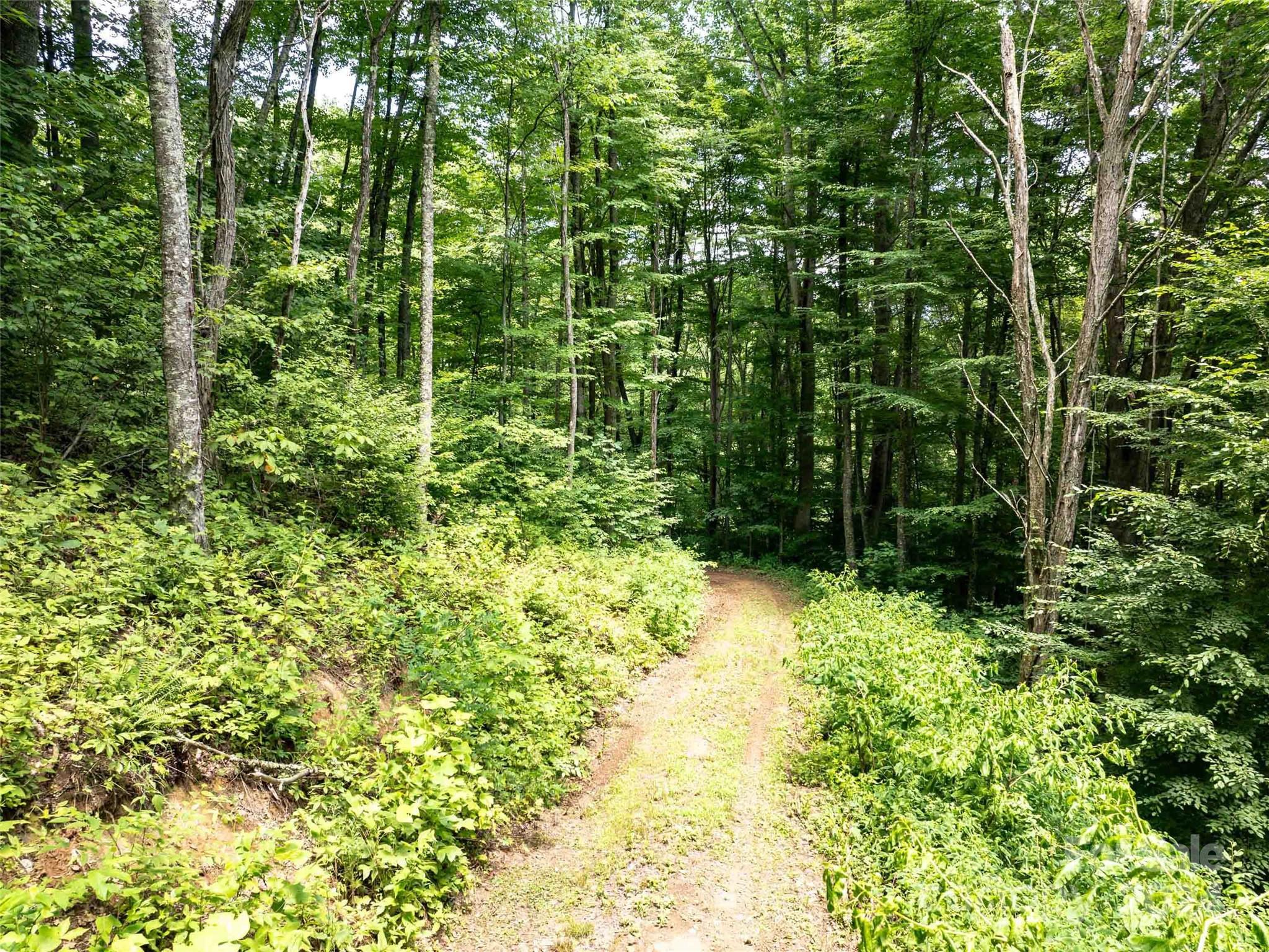 00 Hardy Branch Trail Waynesville NC 28785