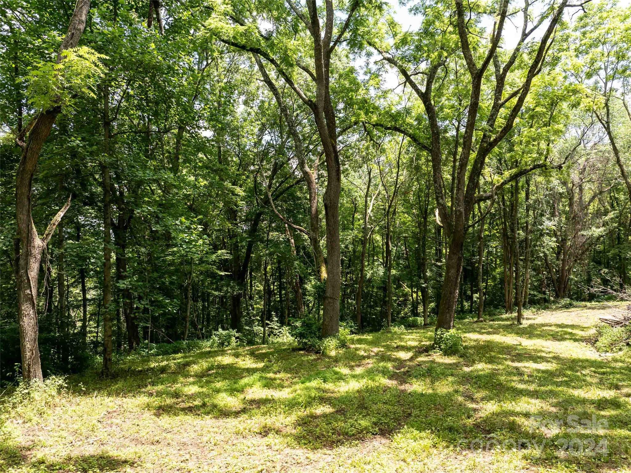 00 Hardy Branch Trail Waynesville NC 28785