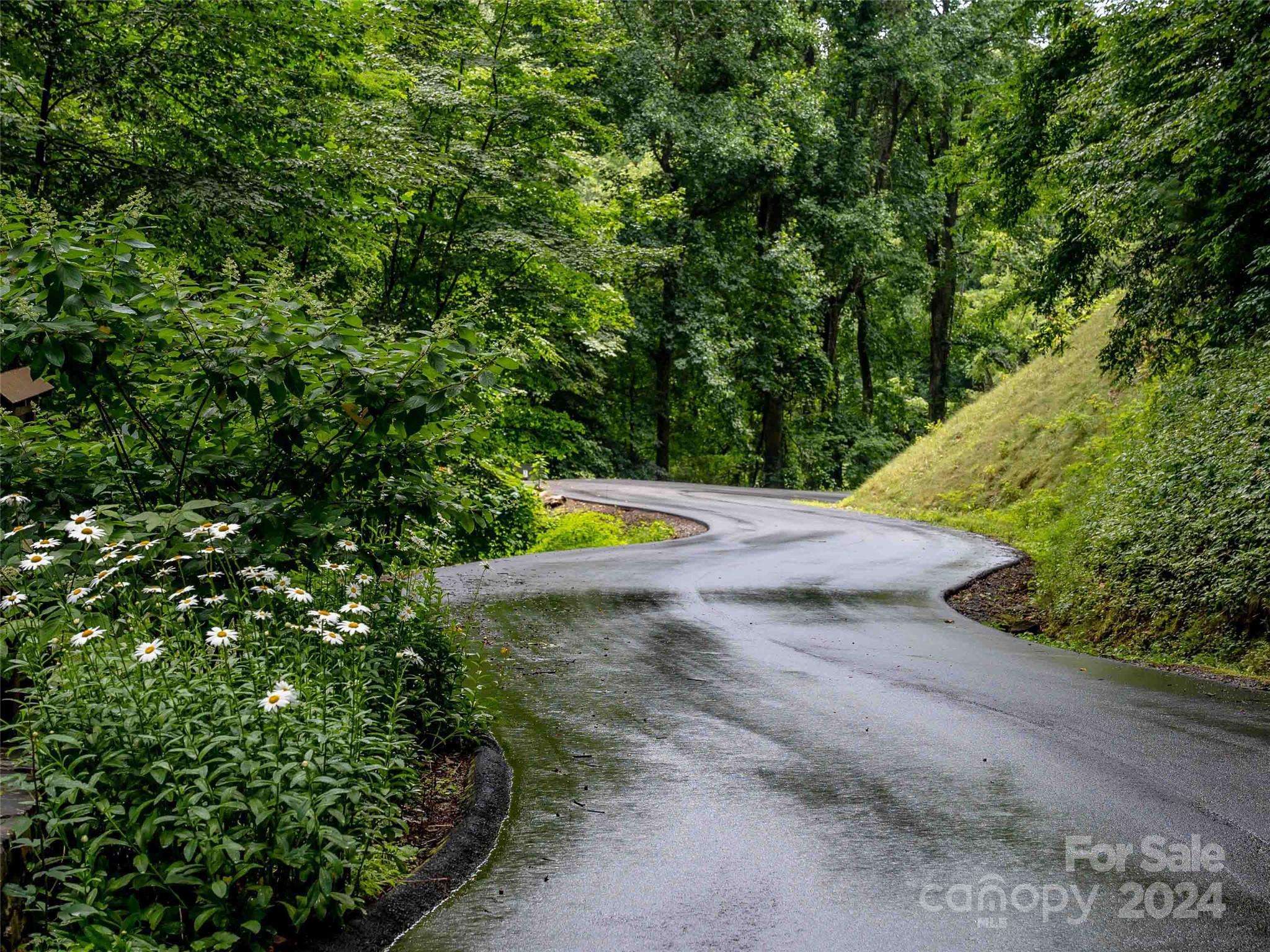 00 Hardy Branch Trail Waynesville NC 28785