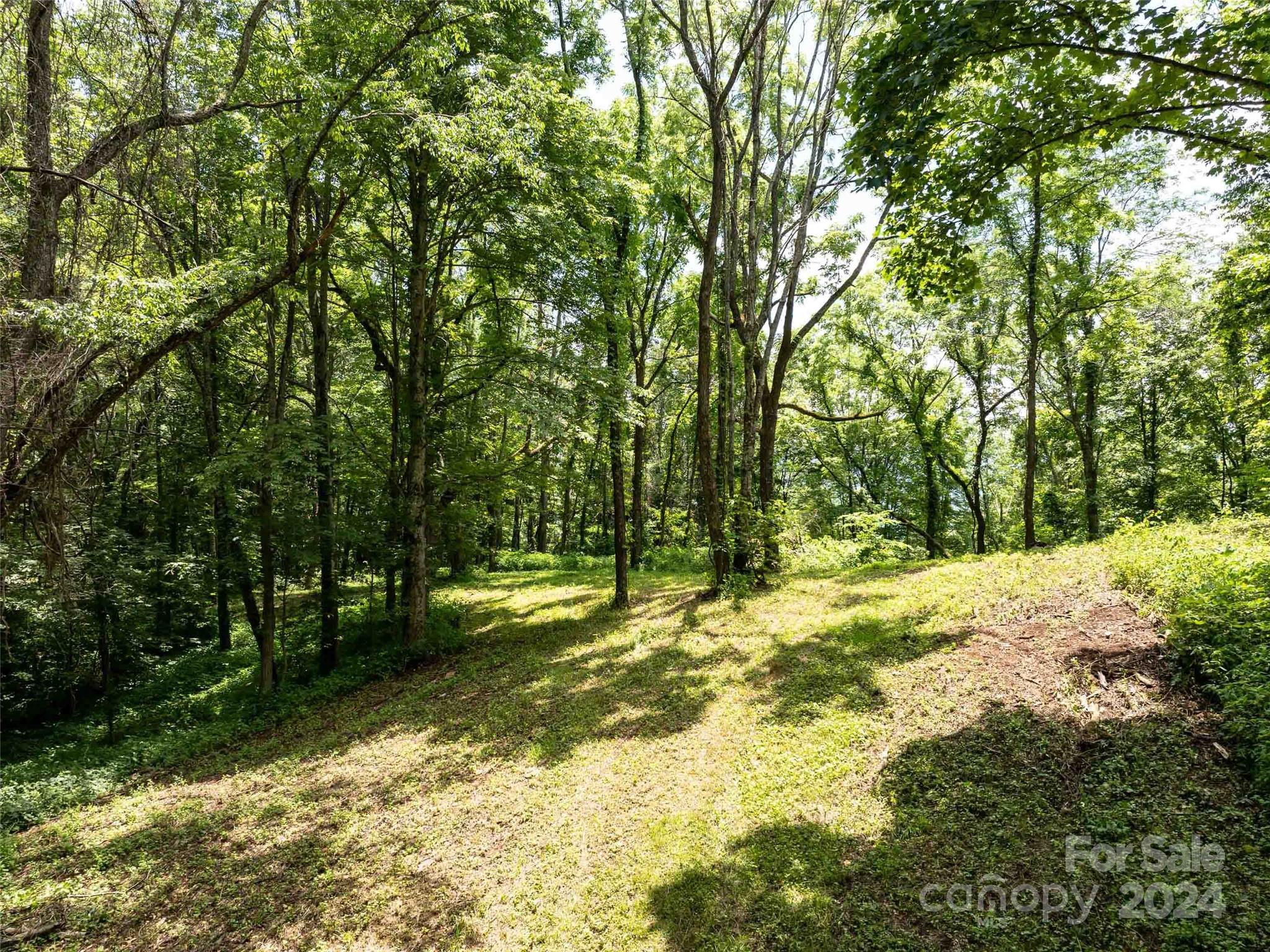 00 Hardy Branch Trail Waynesville NC 28785