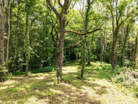 00 Hardy Branch Trail Waynesville NC 28785