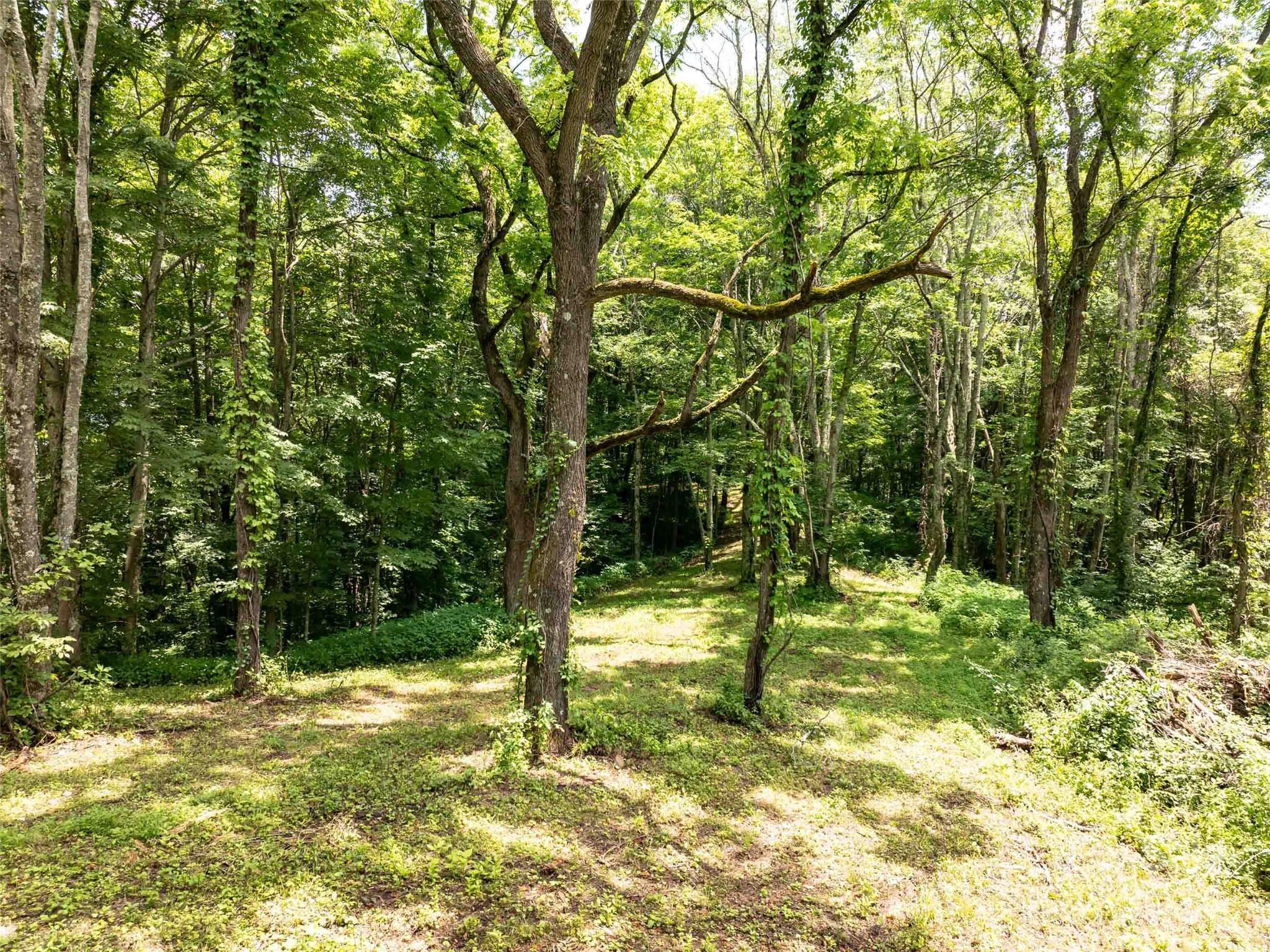 00 Hardy Branch Trail Waynesville NC 28785
