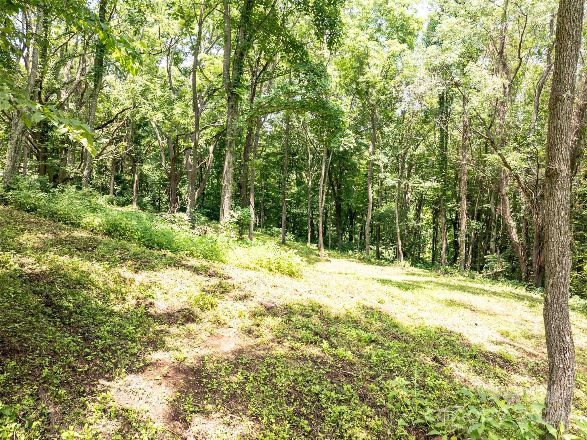 00 Hardy Branch Trail Waynesville NC 28785