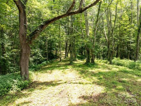 00 Hardy Branch Trail Waynesville NC 28785