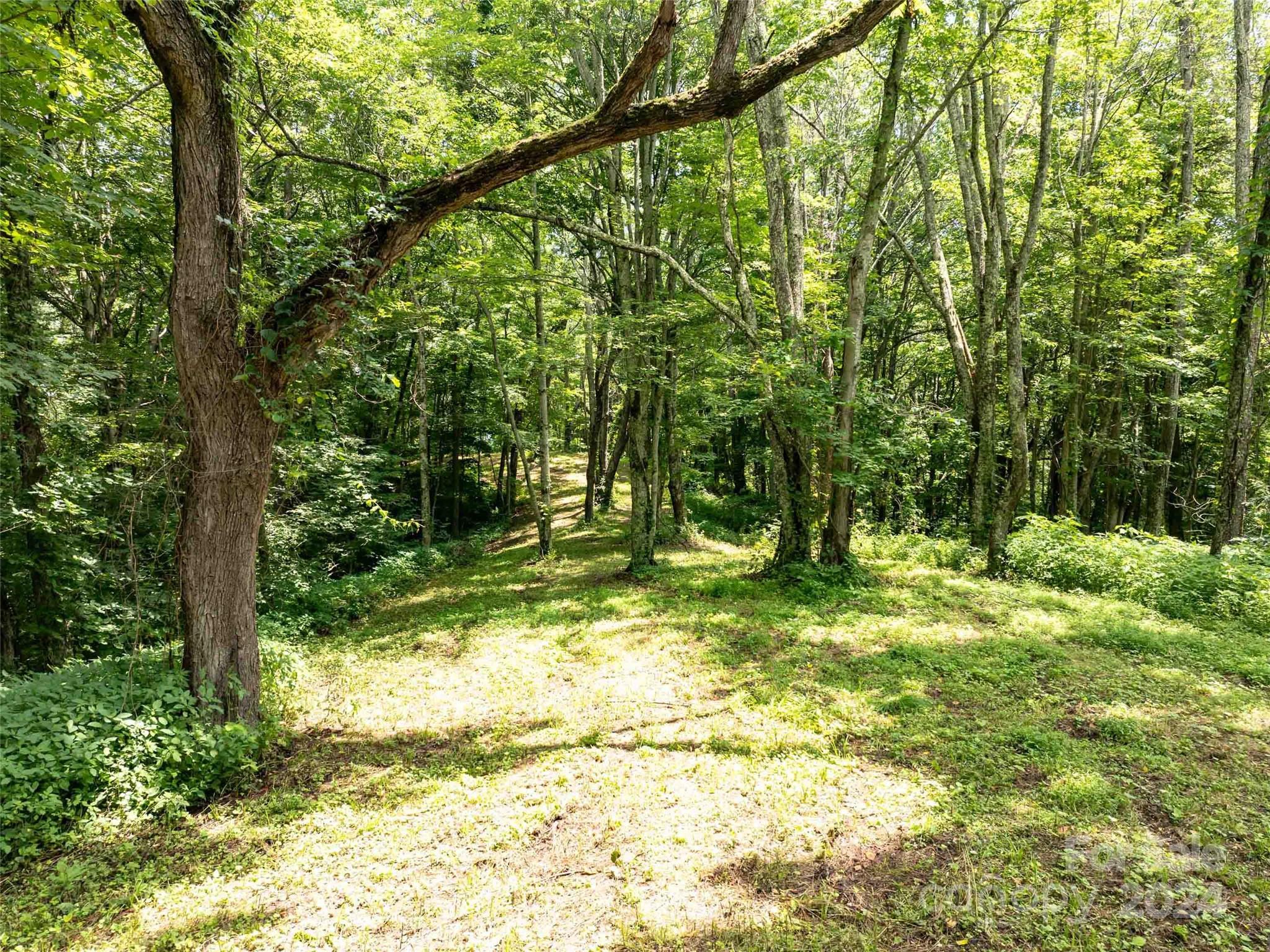 00 Hardy Branch Trail Waynesville NC 28785