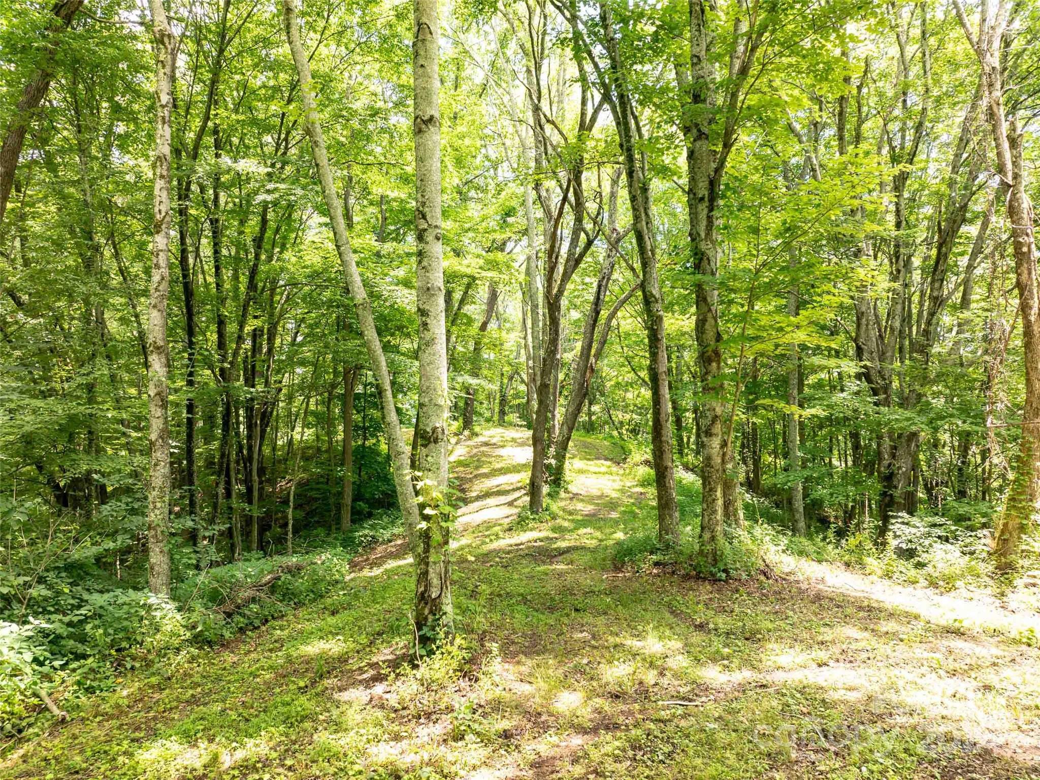 00 Hardy Branch Trail Waynesville NC 28785