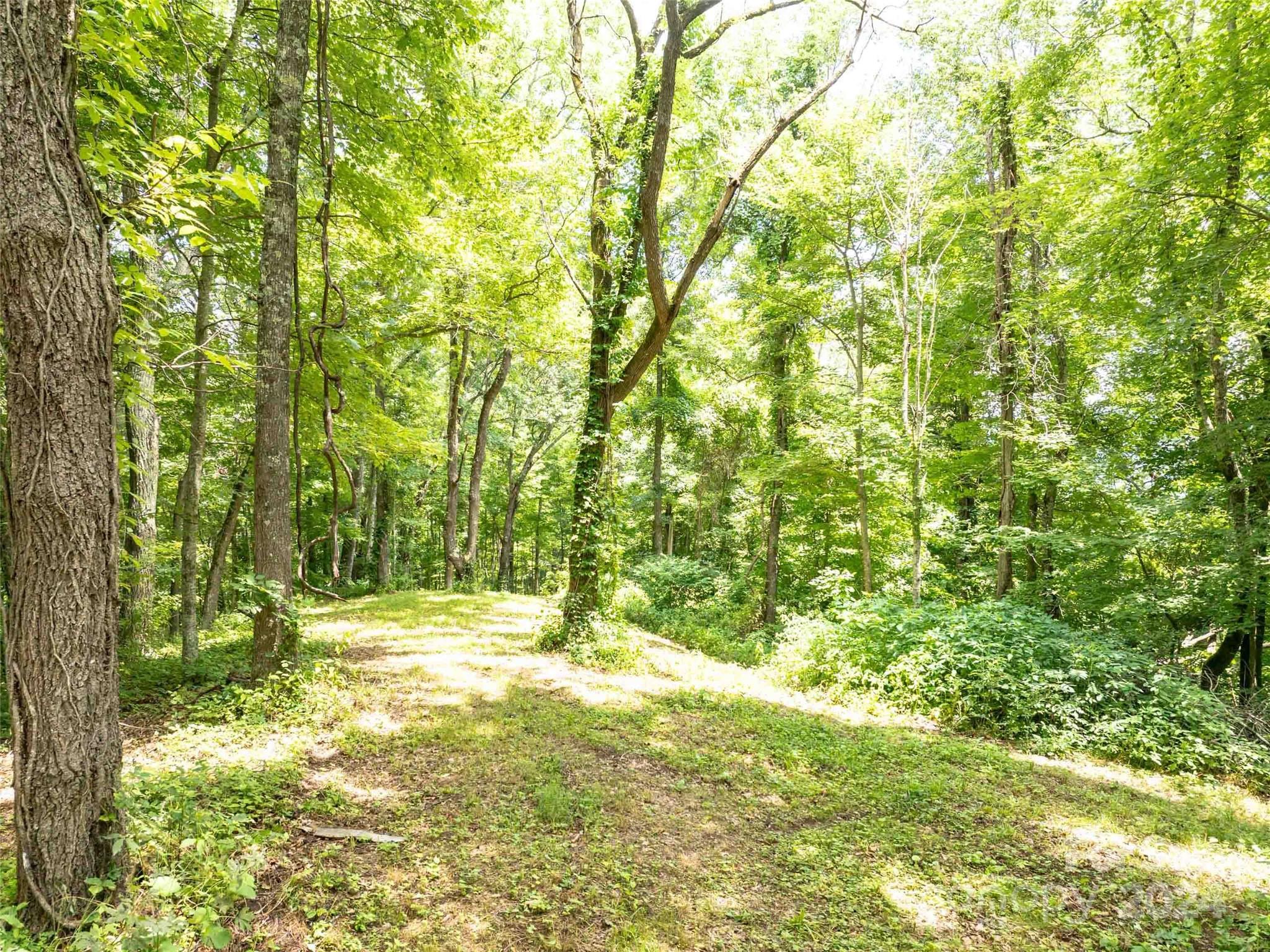 00 Hardy Branch Trail Waynesville NC 28785