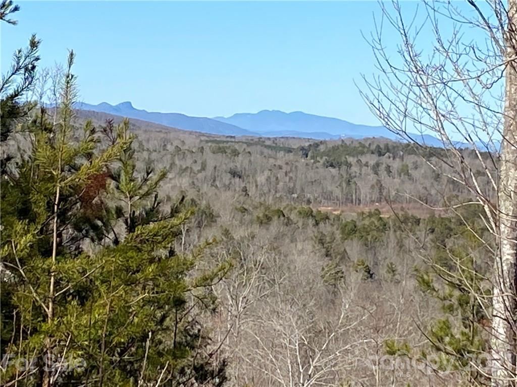 2540 Vein Mountain Road Nebo NC 28761