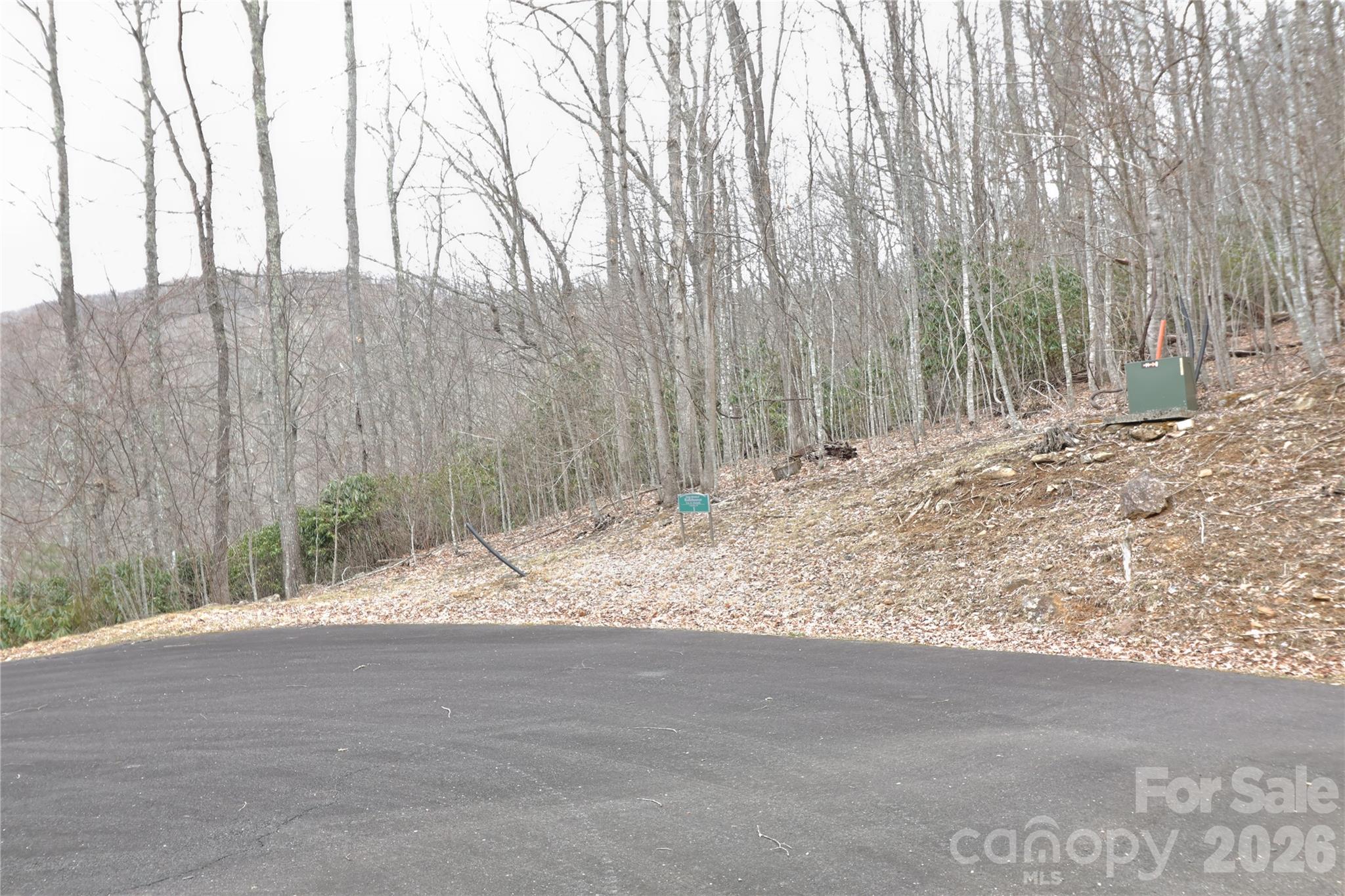 Tbd Chardonnay Court Newland NC 28657