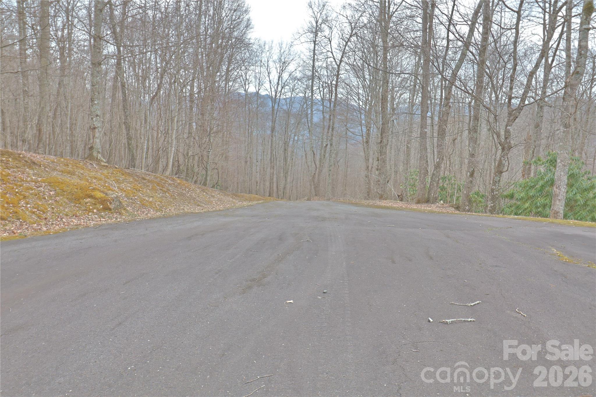 Tbd Chardonnay Court Newland NC 28657