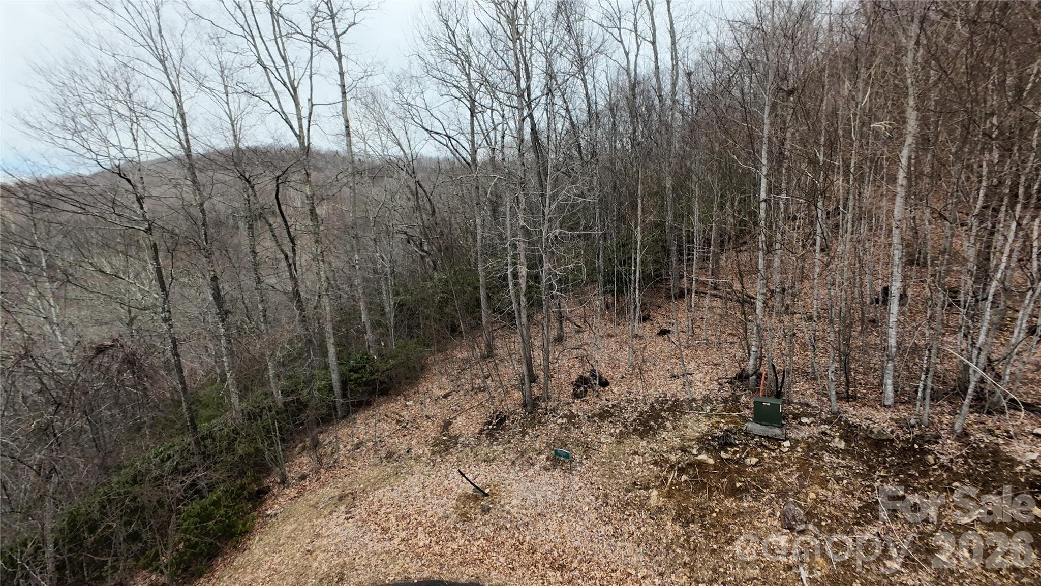 Tbd Chardonnay Court Newland NC 28657