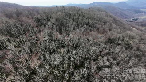 Tbd Chardonnay Court Newland NC 28657