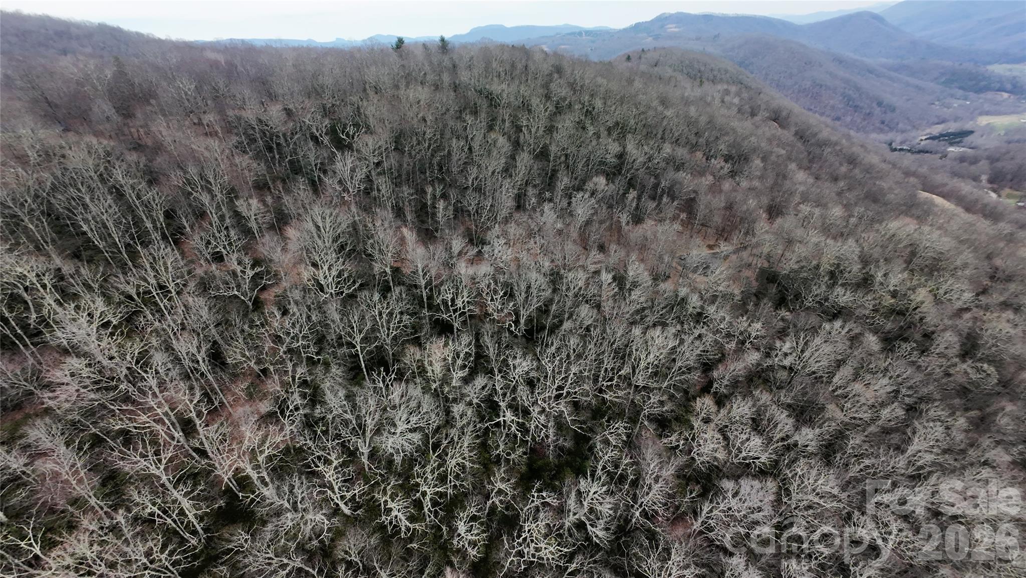 Tbd Chardonnay Court Newland NC 28657