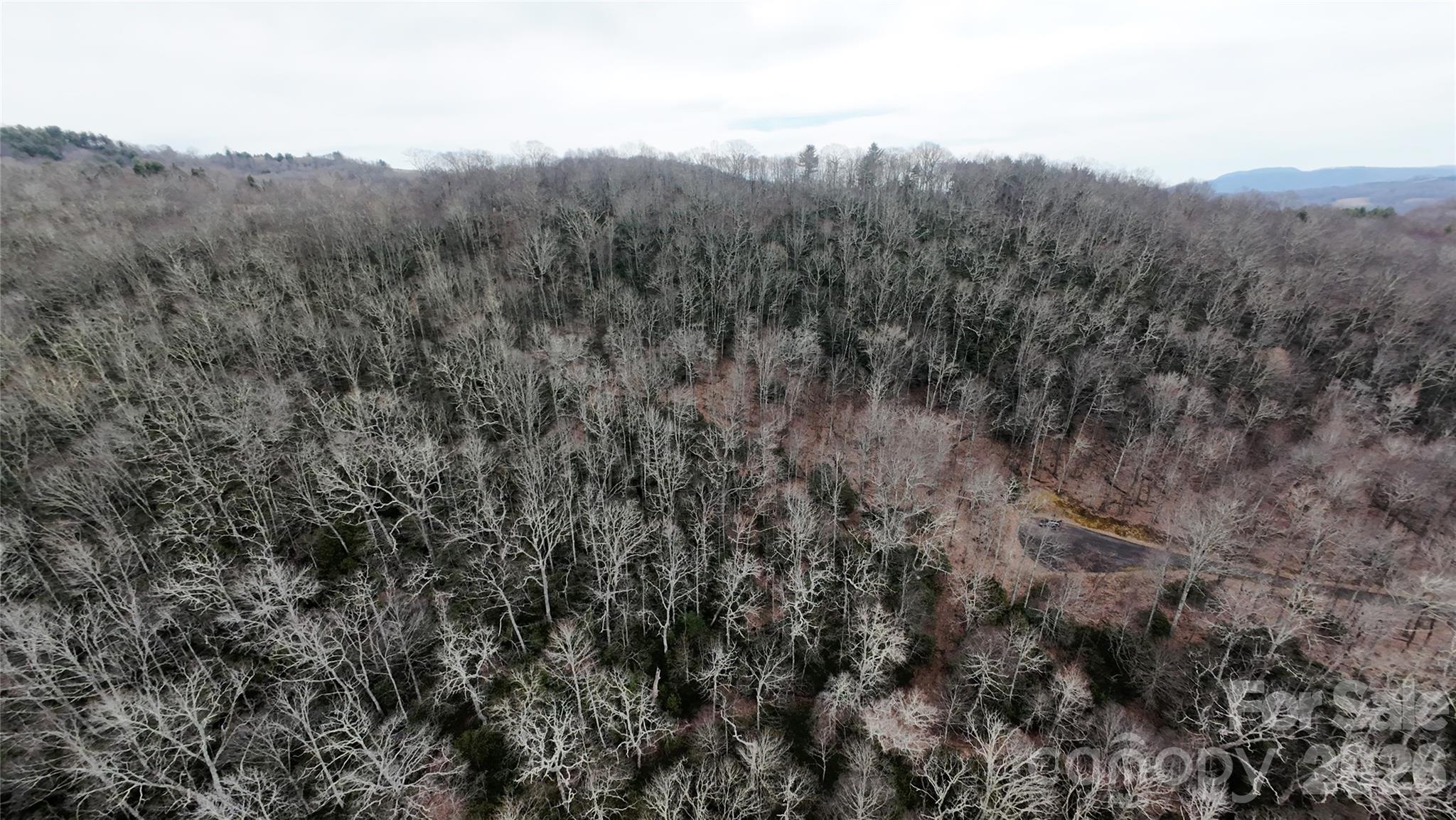 Tbd Chardonnay Court Newland NC 28657