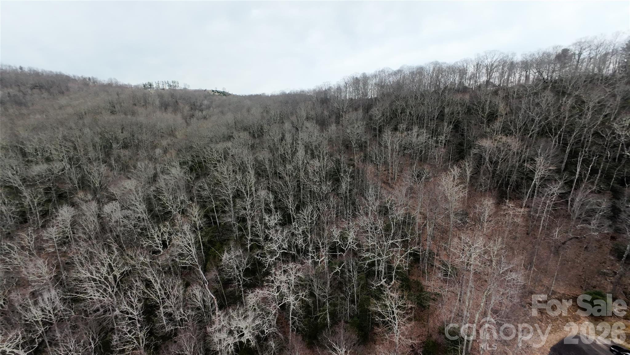 Tbd Chardonnay Court Newland NC 28657