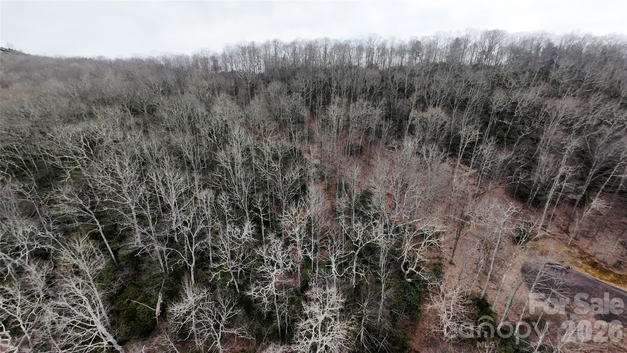 Tbd Chardonnay Court Newland NC 28657