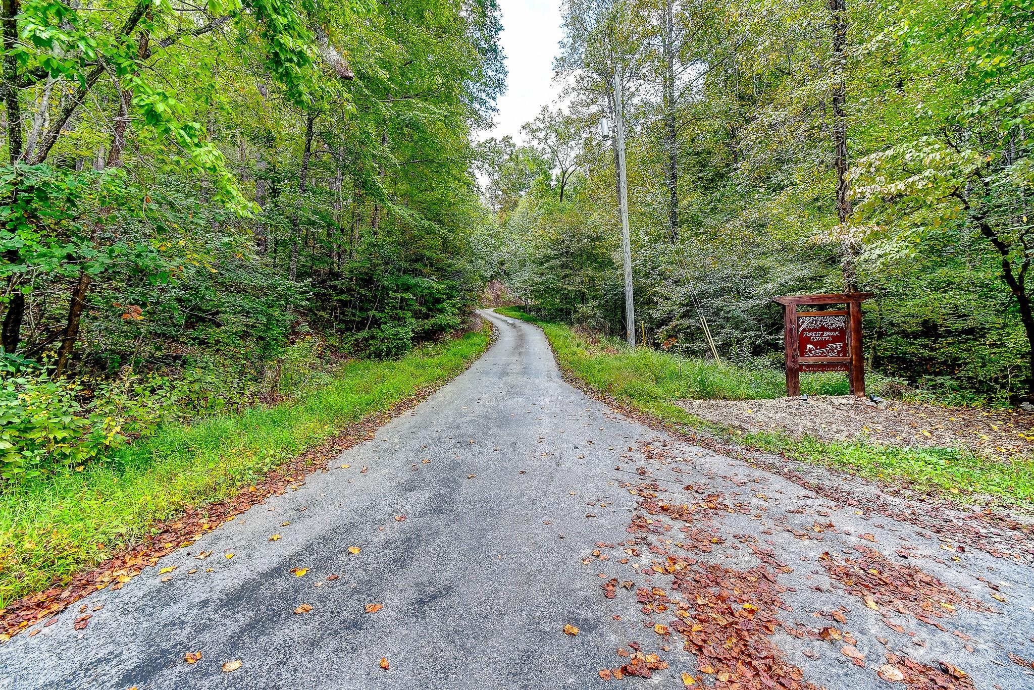99999 Forest Brook Drive Black Mountain NC 28711
