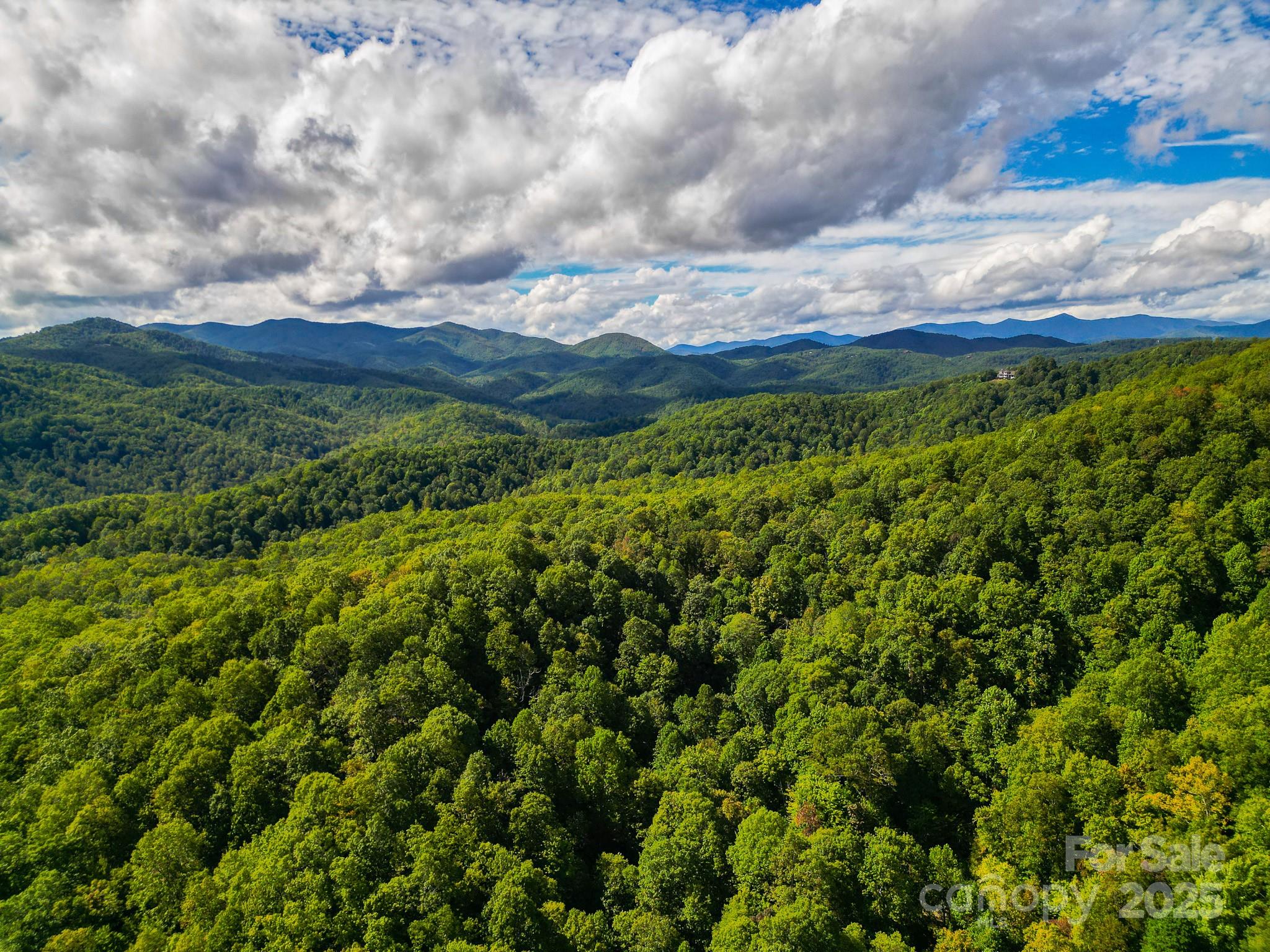 99999 Forest Brook Drive Black Mountain NC 28711
