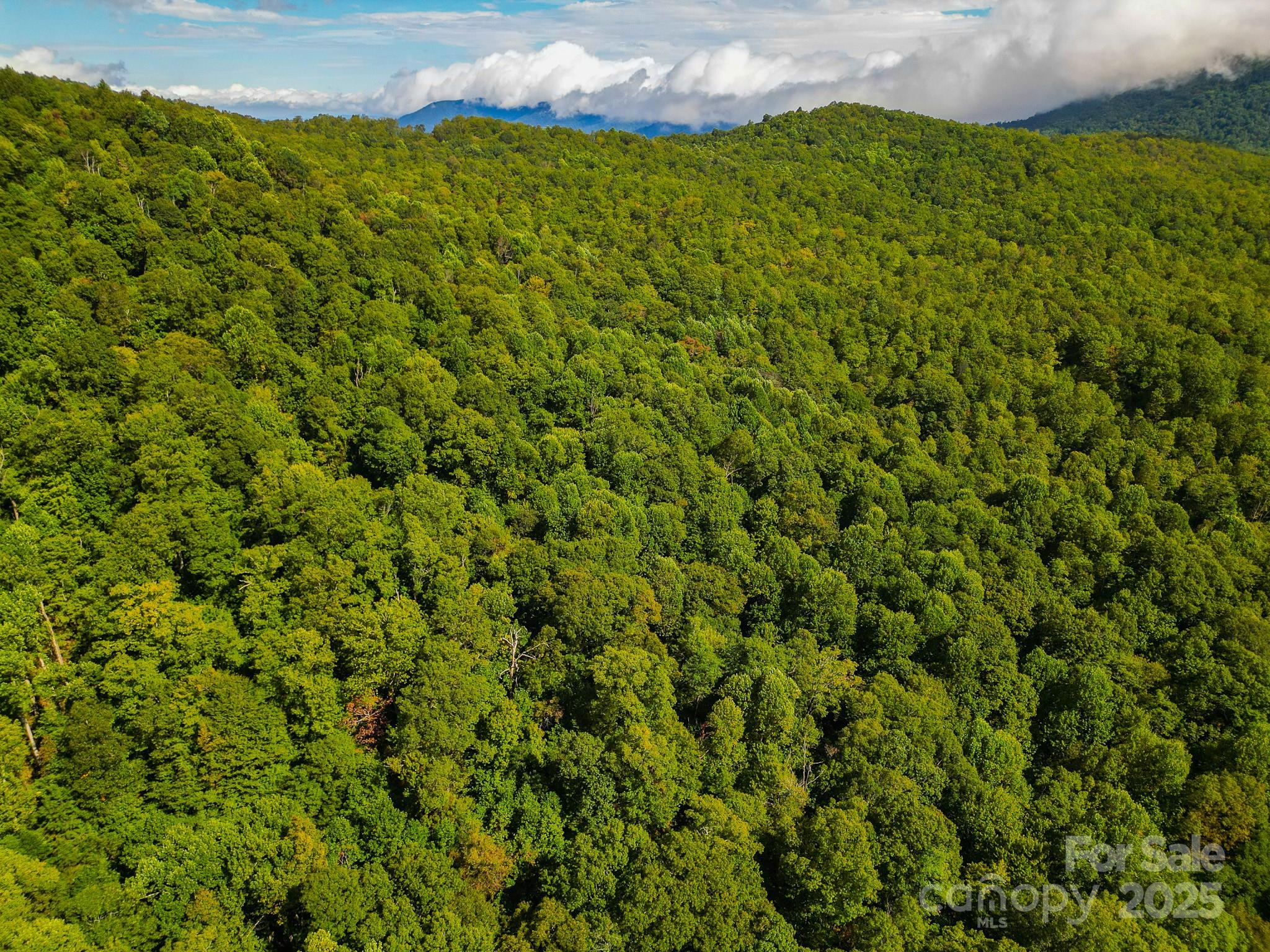 99999 Forest Brook Drive Black Mountain NC 28711