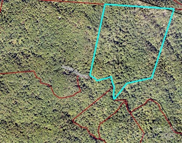 99999 Forest Brook Drive Black Mountain NC 28711