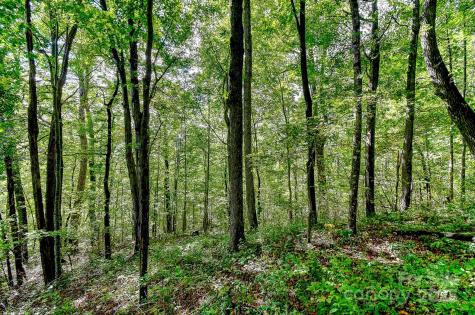 99999 Forest Brook Drive Black Mountain NC 28711
