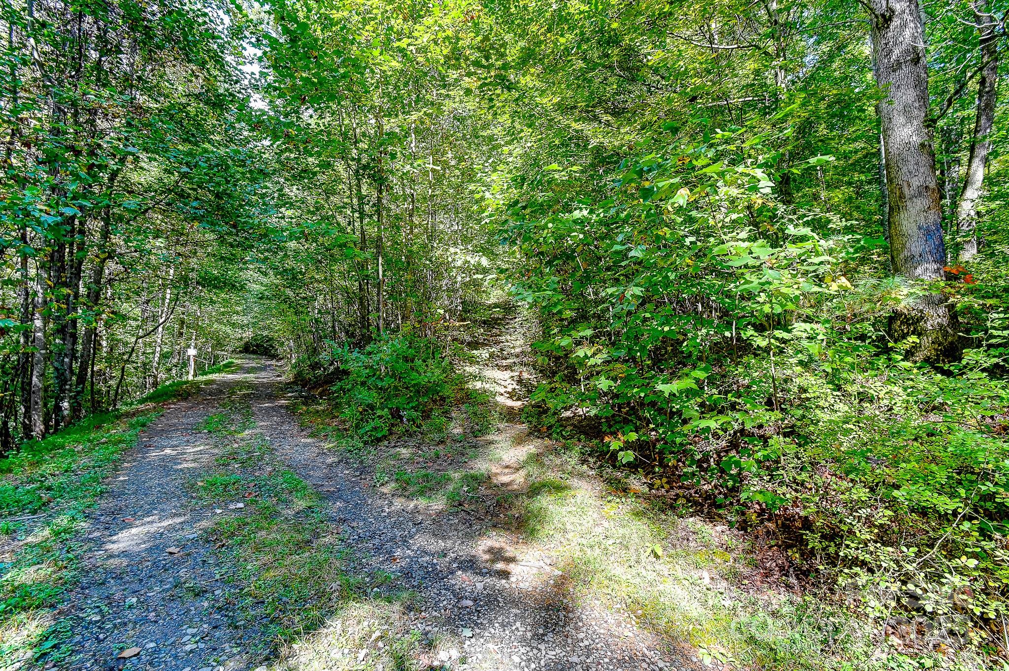 99999 Forest Brook Drive Black Mountain NC 28711