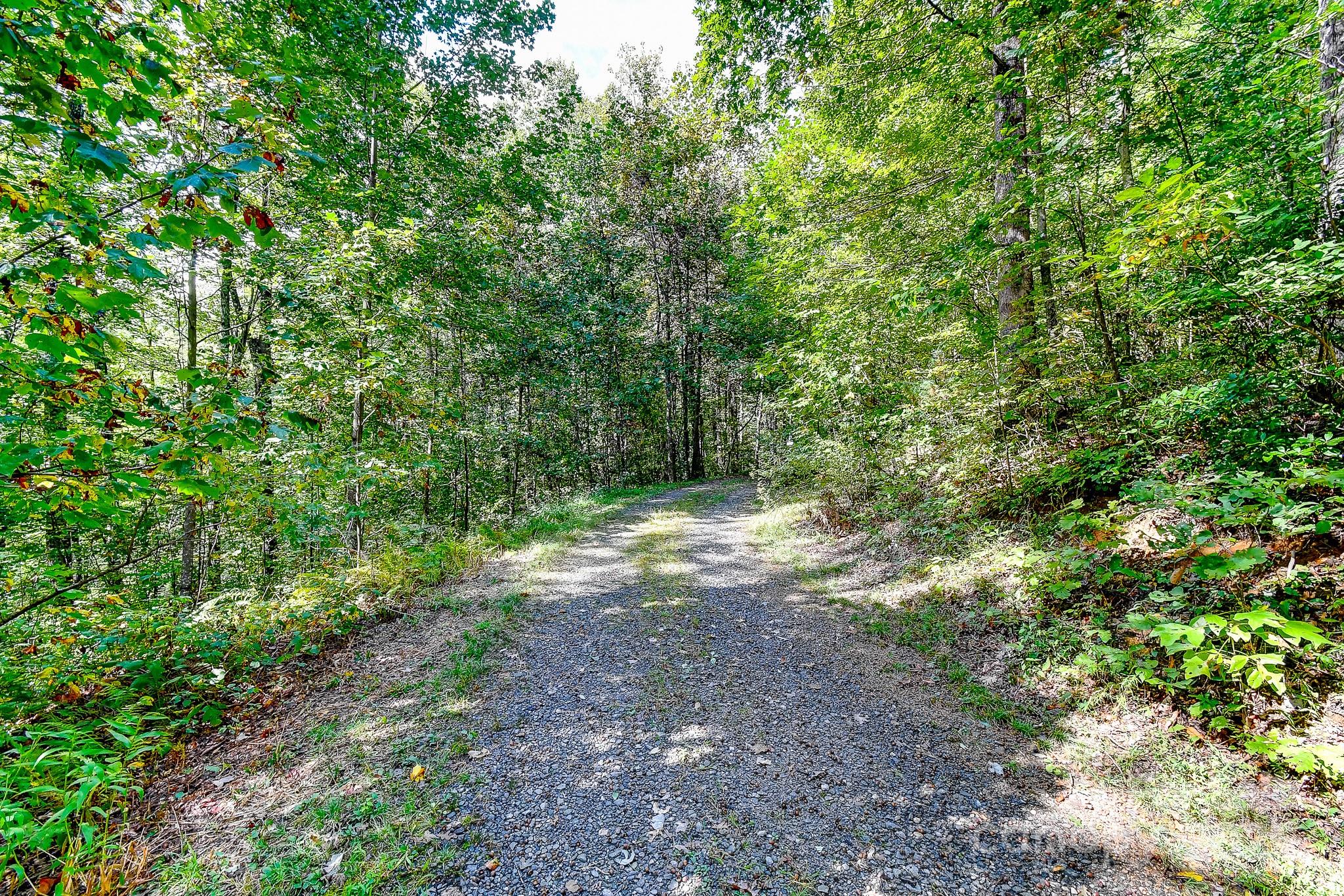 99999 Forest Brook Drive Black Mountain NC 28711