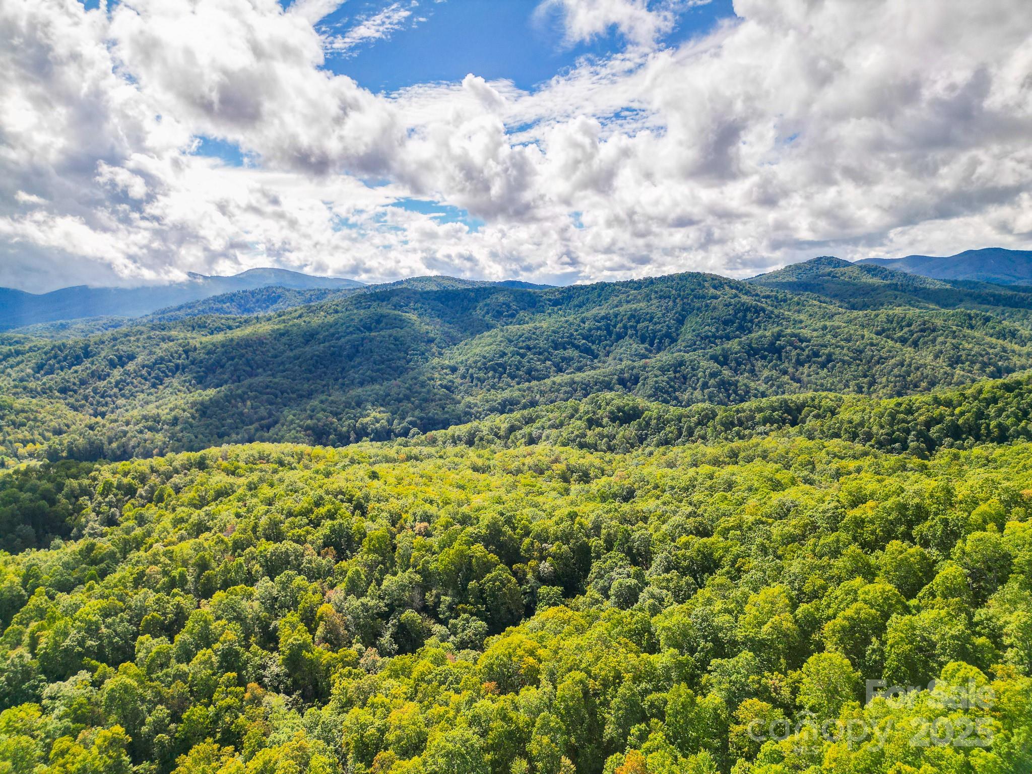 99999 Forest Brook Drive Black Mountain NC 28711