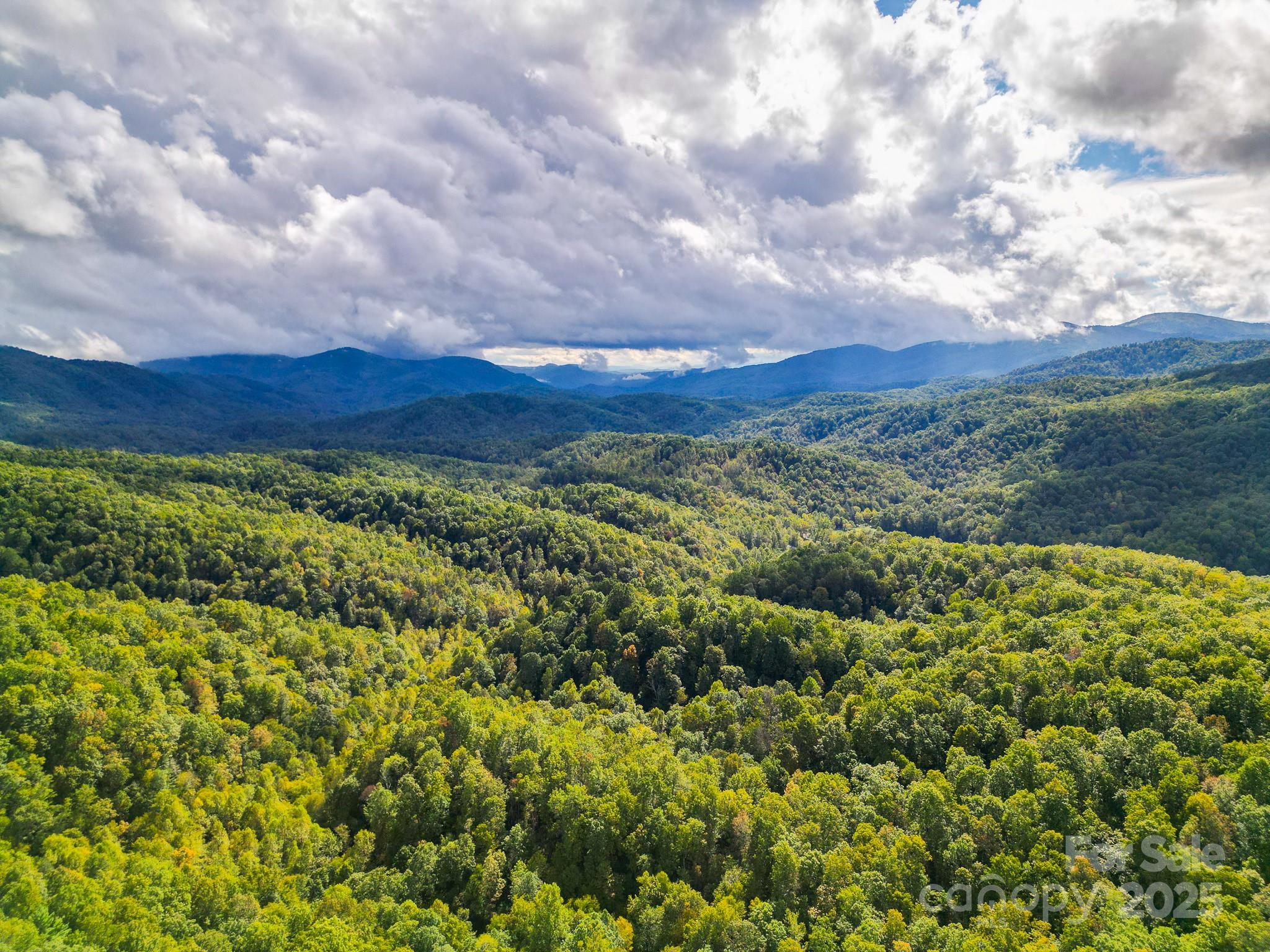 99999 Forest Brook Drive Black Mountain NC 28711