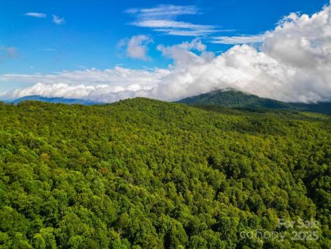 99999 Forest Brook Drive Black Mountain NC 28711