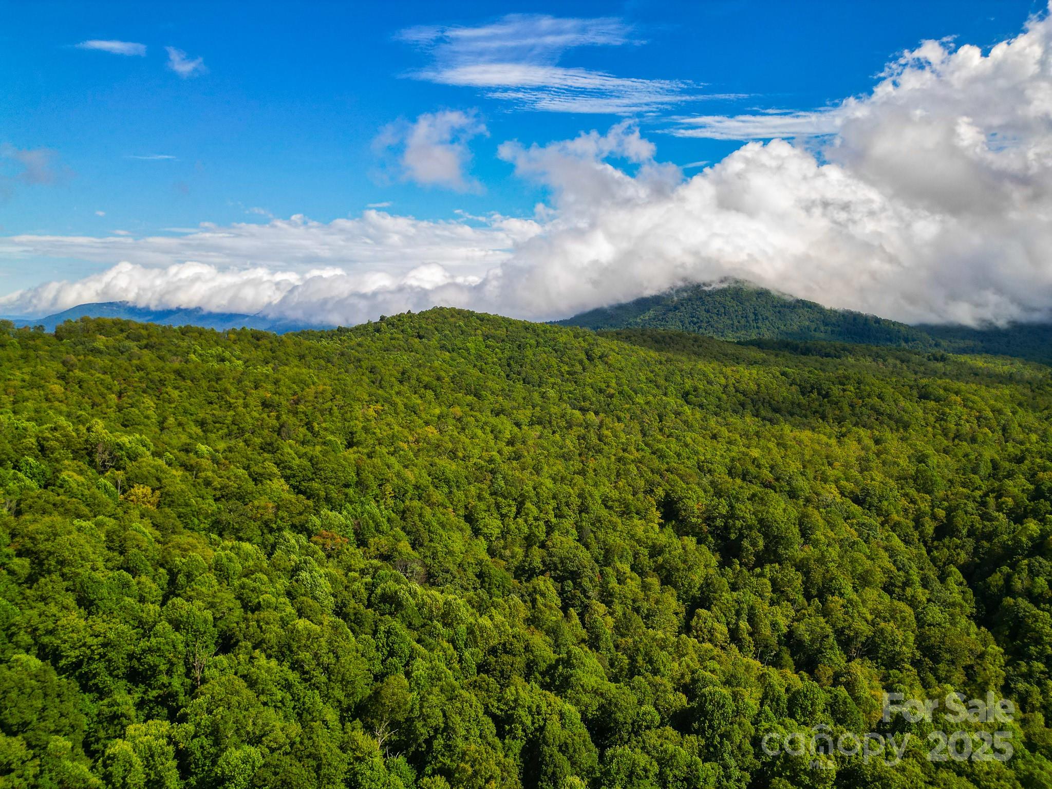 99999 Forest Brook Drive Black Mountain NC 28711