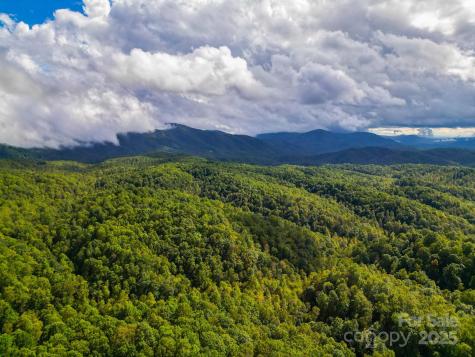 99999 Forest Brook Drive Black Mountain NC 28711