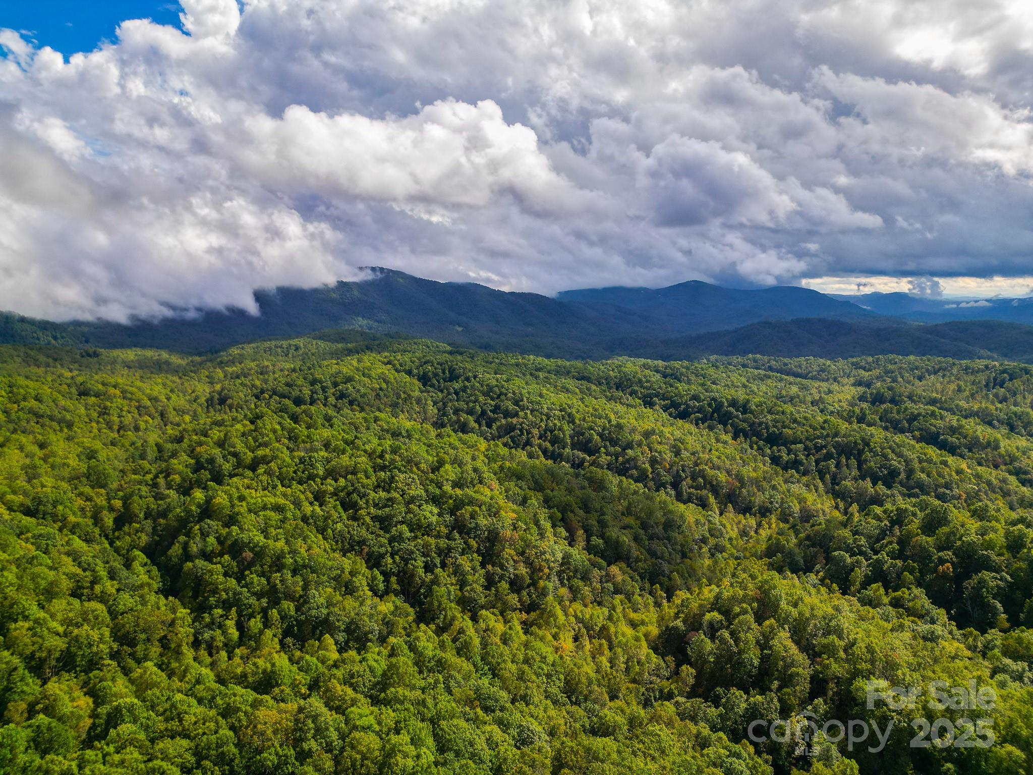 99999 Forest Brook Drive Black Mountain NC 28711
