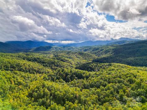 99999 Forest Brook Drive Black Mountain NC 28711