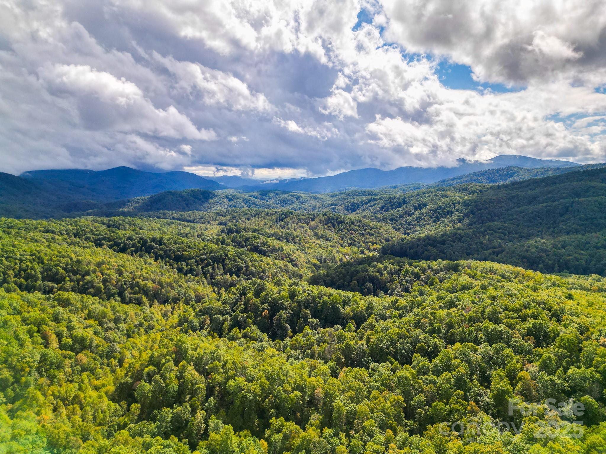 99999 Forest Brook Drive Black Mountain NC 28711