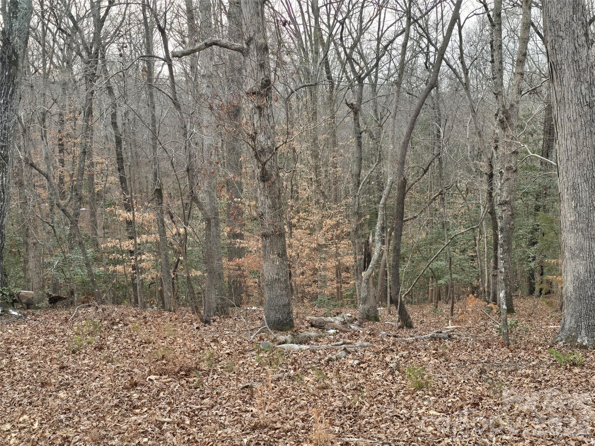 301 Chinkapin Road Troy NC 27371