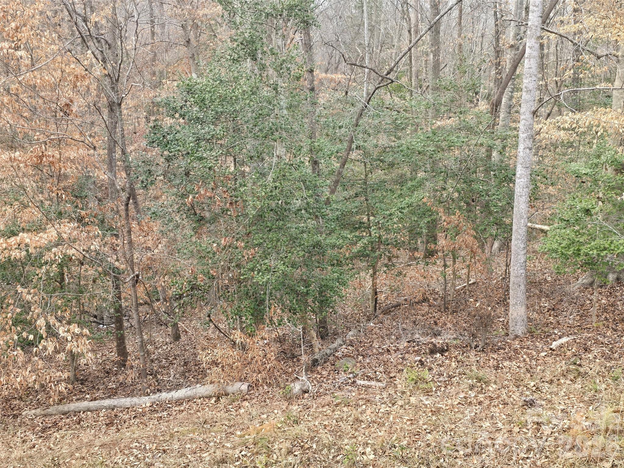 301 Chinkapin Road Troy NC 27371