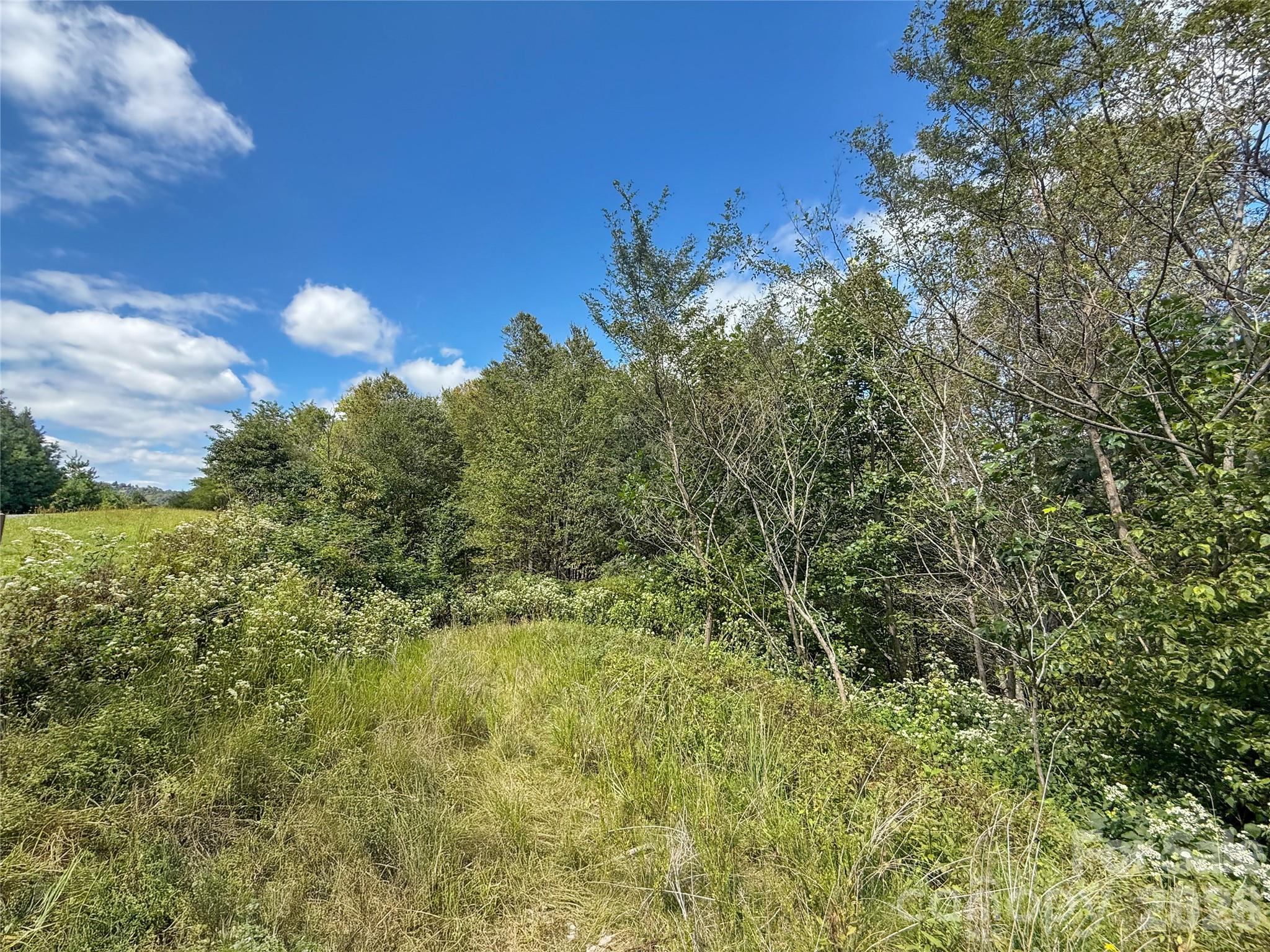 Tbd Wapiti Way Boone NC 28607