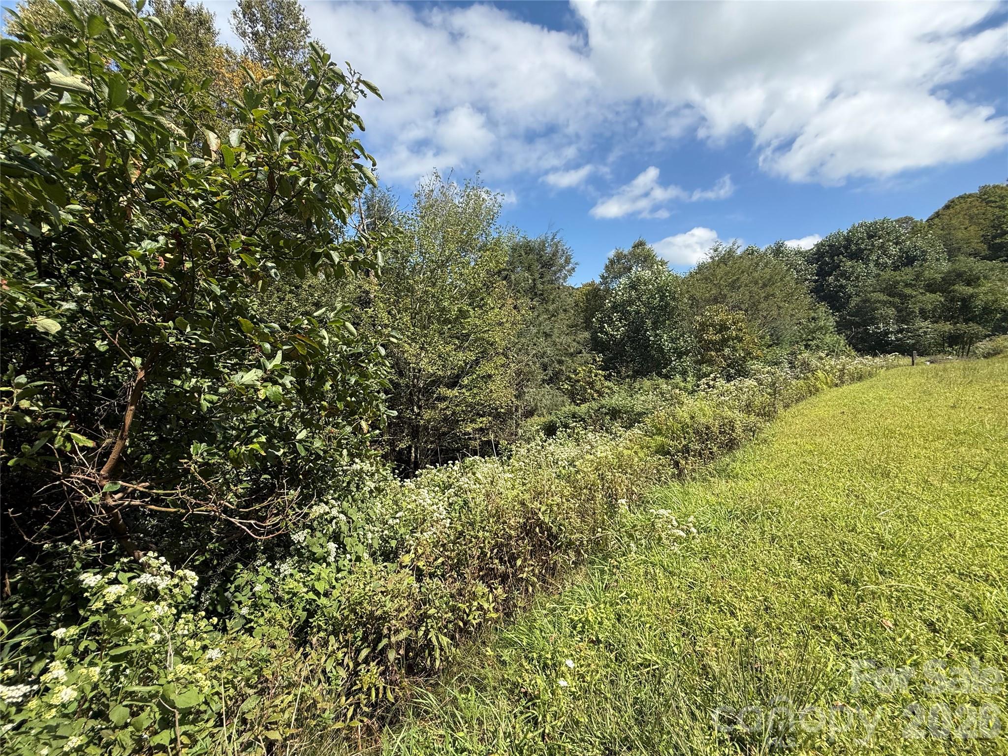 Tbd Wapiti Way Boone NC 28607