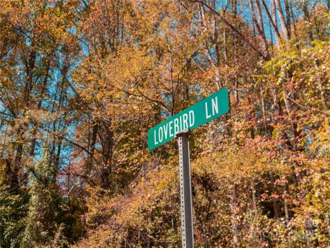 9999 Lovebird Lane Candler NC 28715