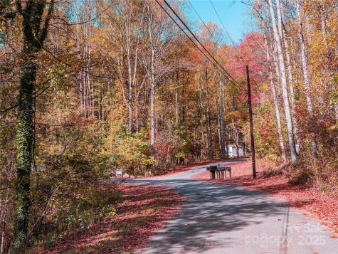 9999 Lovebird Lane Candler NC 28715