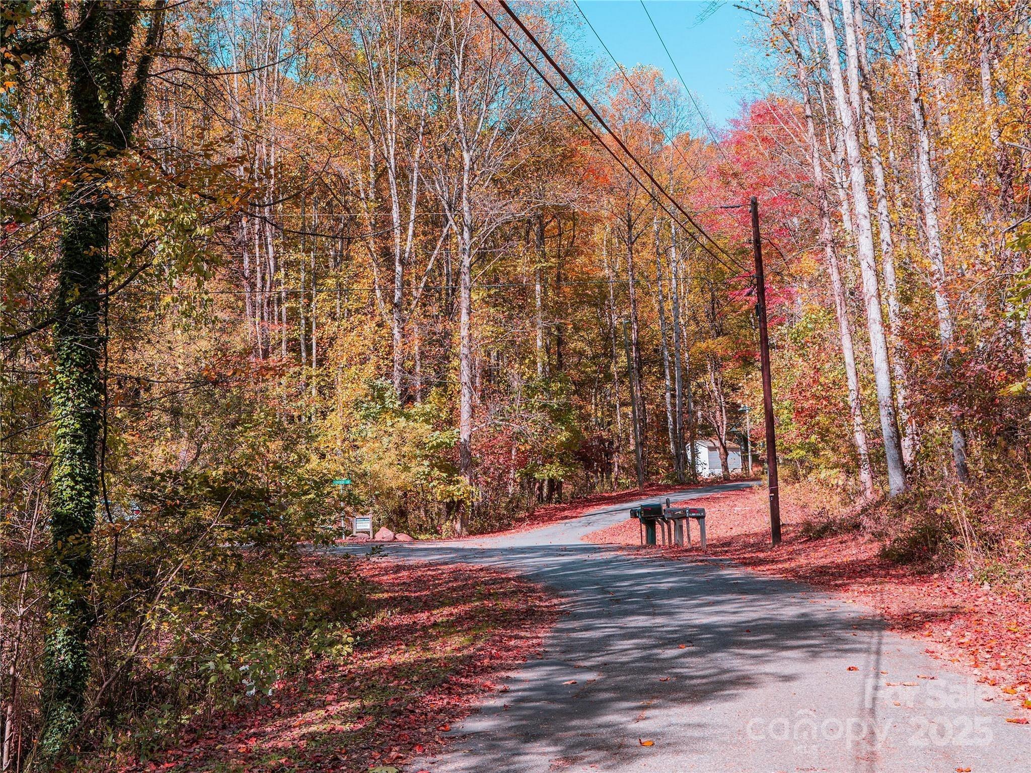 9999 Lovebird Lane Candler NC 28715