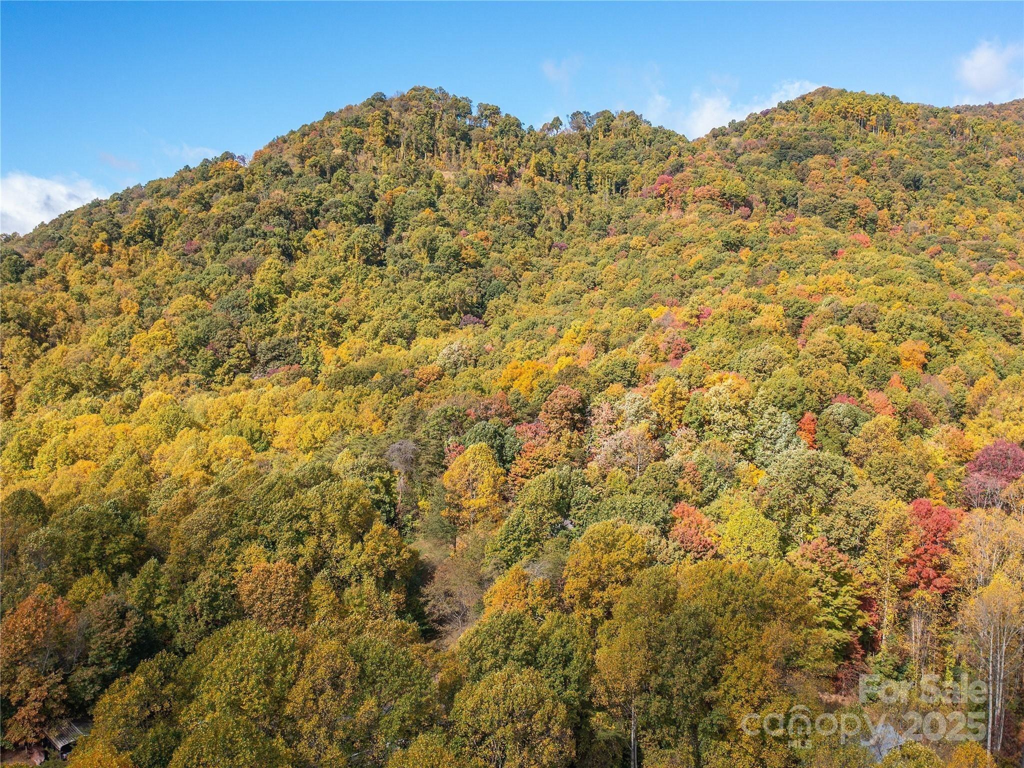 9999 Lovebird Lane Candler NC 28715