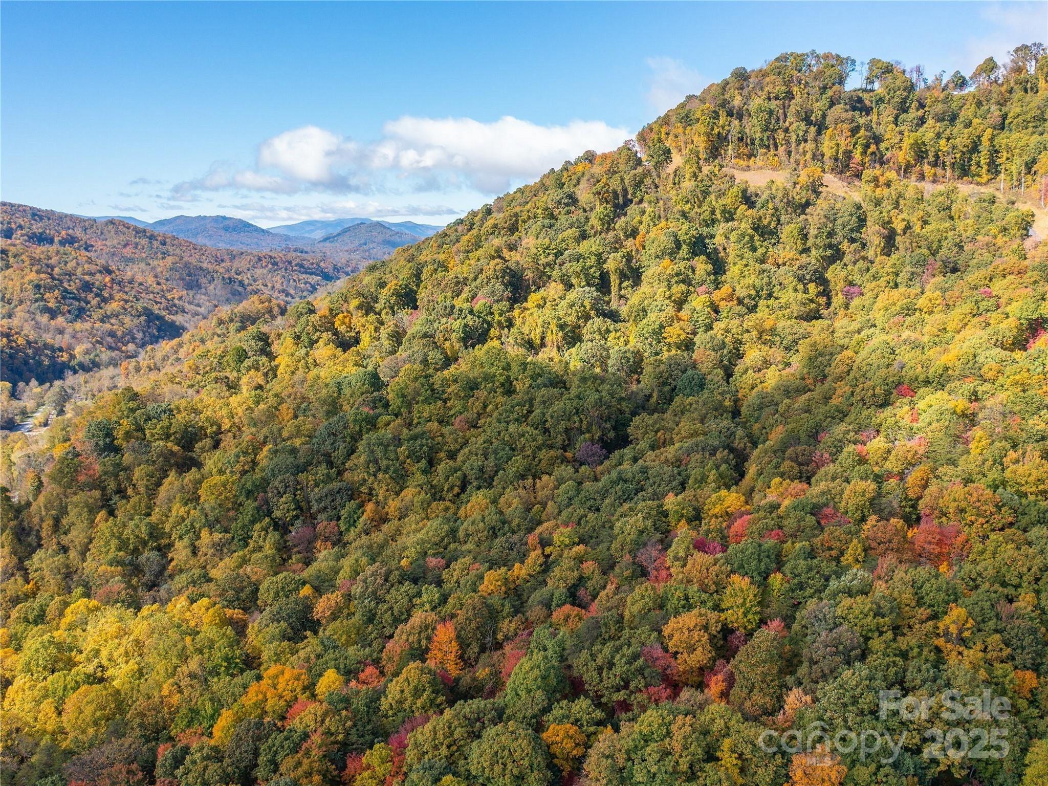 9999 Lovebird Lane Candler NC 28715